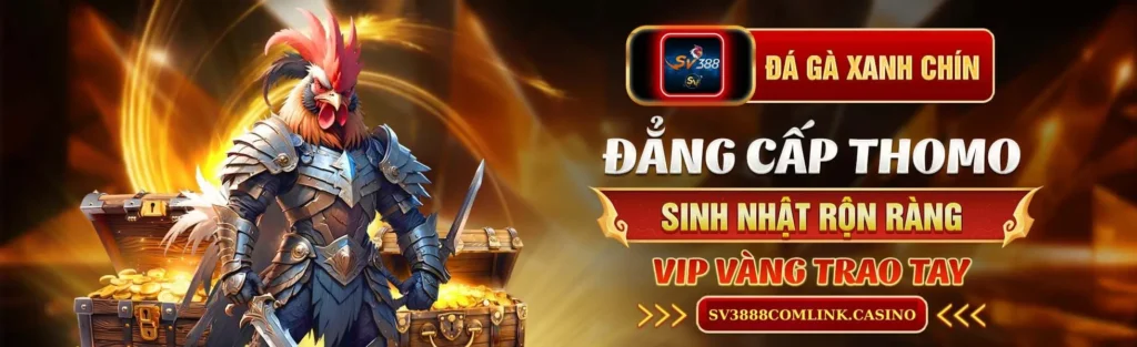 SV388 BANNER ĐÁ GÀ TRỰC TIẾP